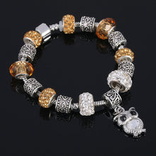 Load image into Gallery viewer, MONEY CHARM BRACELET