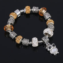Load image into Gallery viewer, MONEY CHARM BRACELET